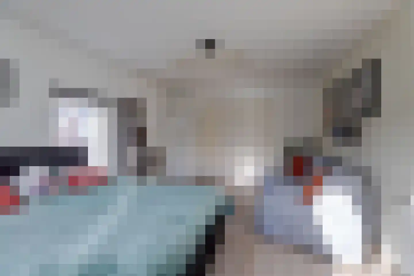 It Heechhout 26 Koudum thumbnail 20