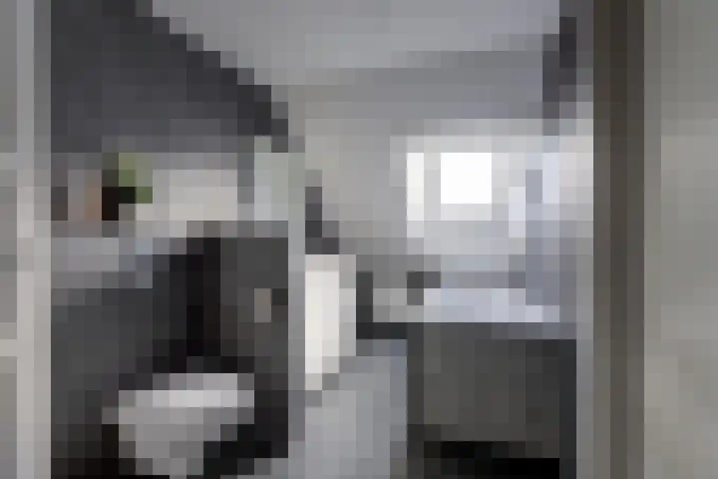 It Heechhout 26 Koudum thumbnail 22