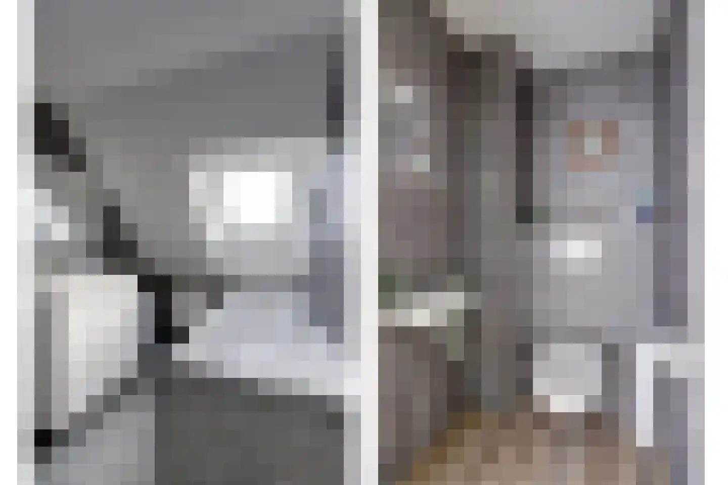 It Heechhout 26 Koudum thumbnail 23