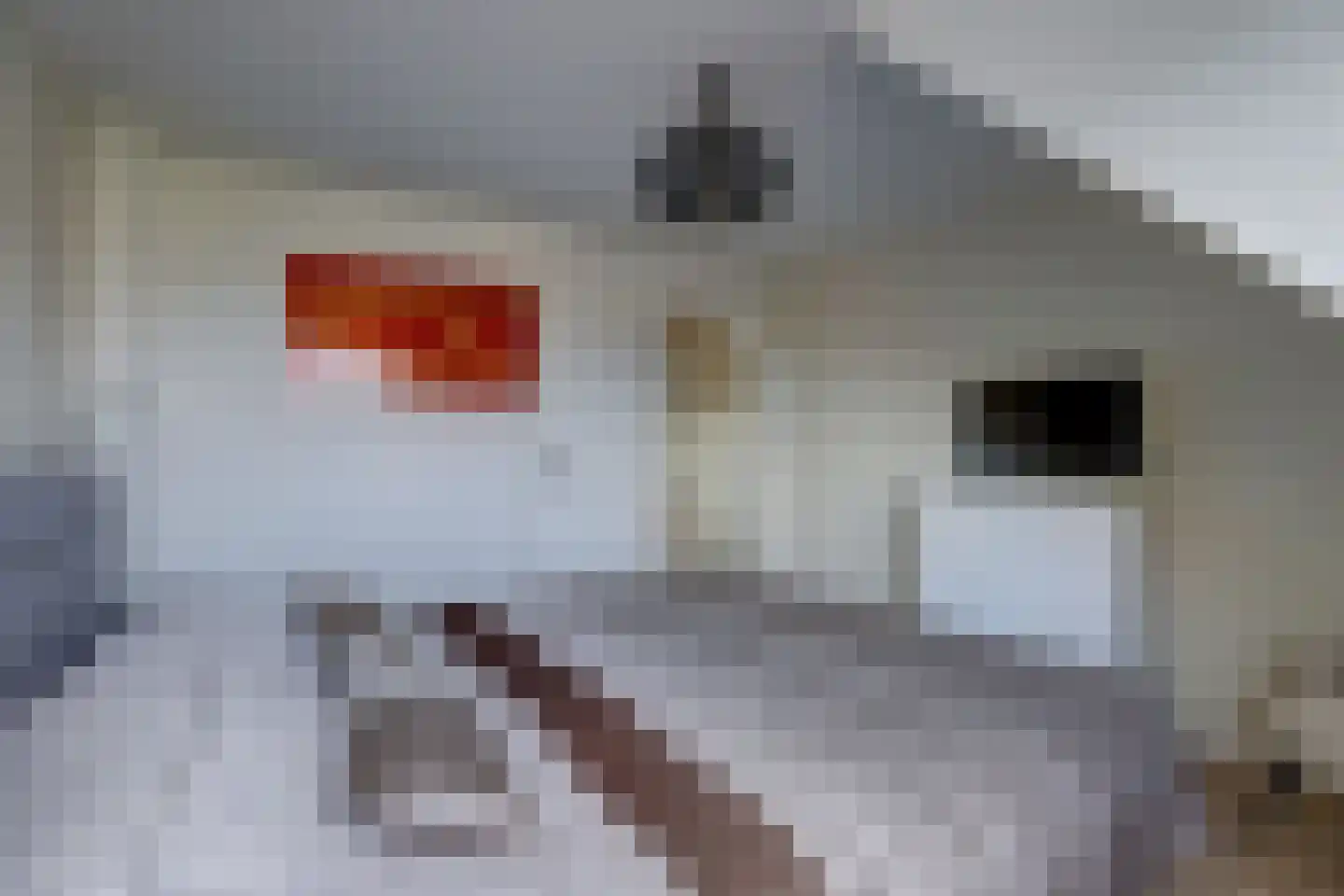It Heechhout 26 Koudum thumbnail 26