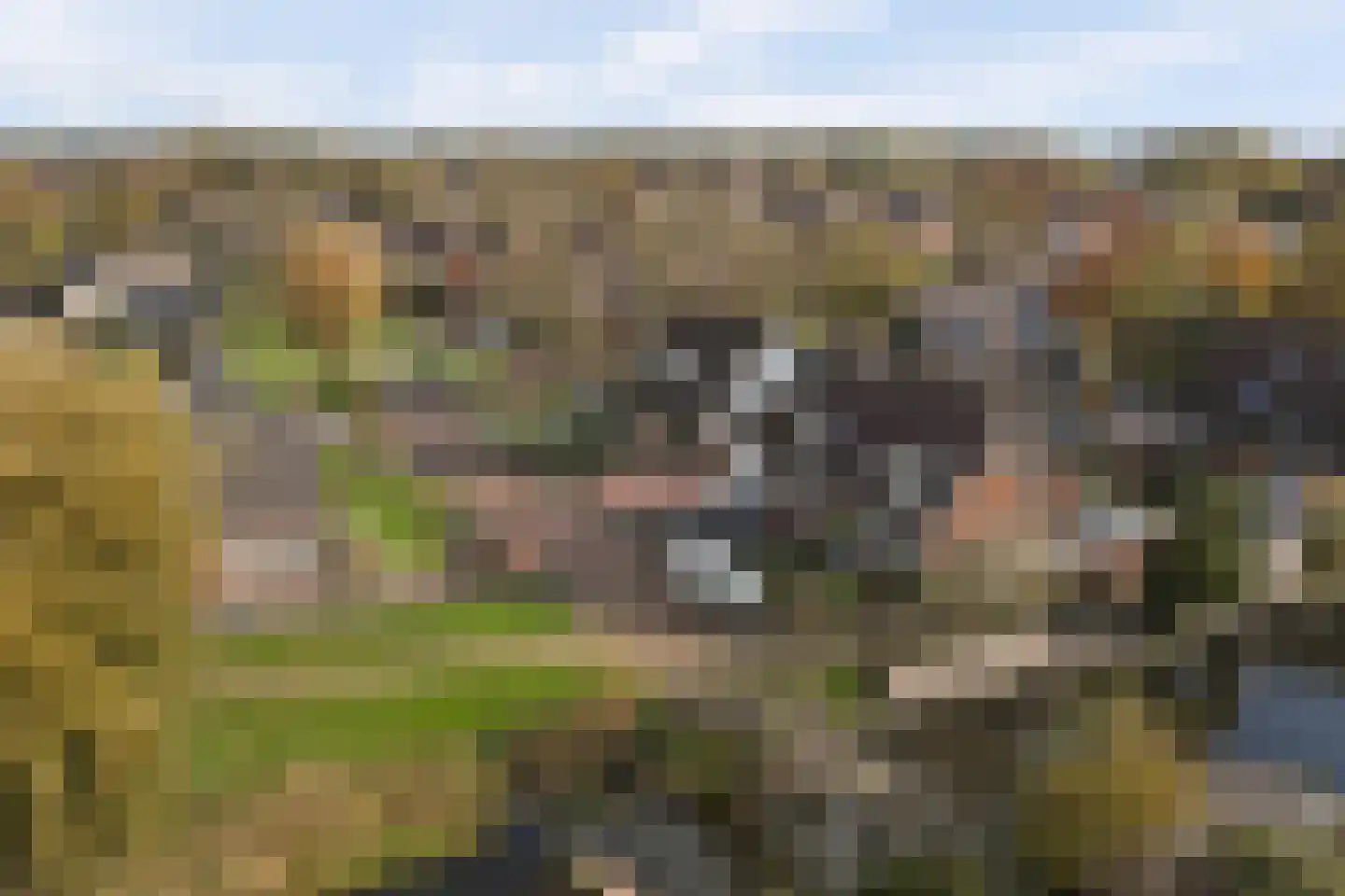 It Heechhout 26 Koudum thumbnail 33
