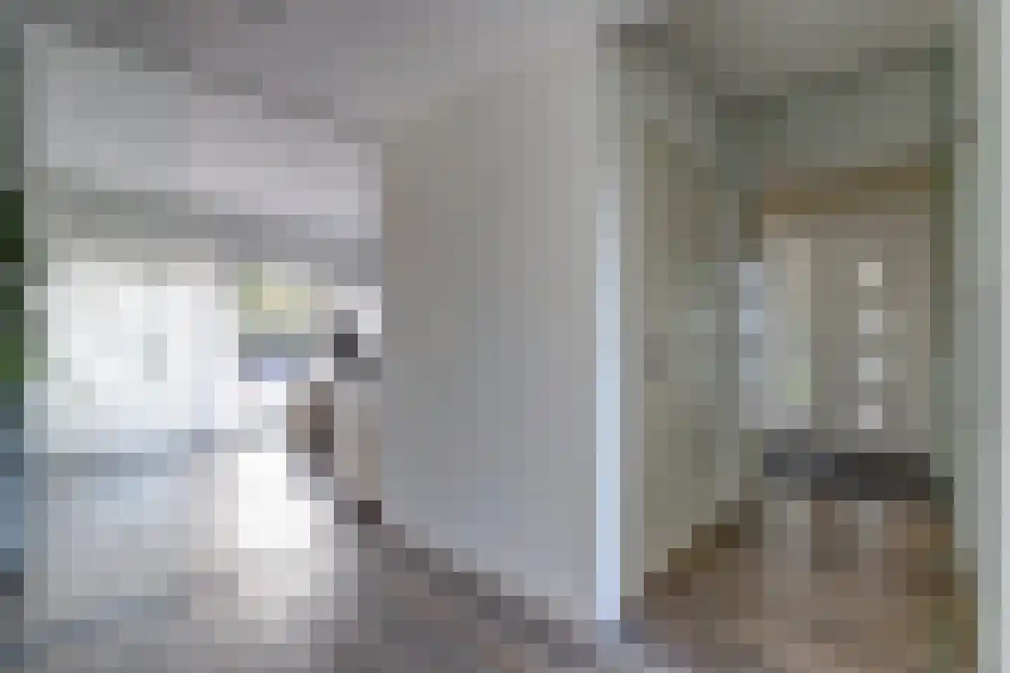 It Heechhout 26 Koudum thumbnail 5