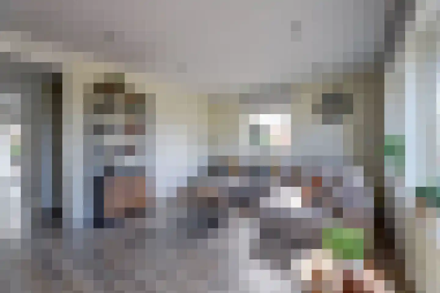 It Heechhout 26 Koudum thumbnail 7