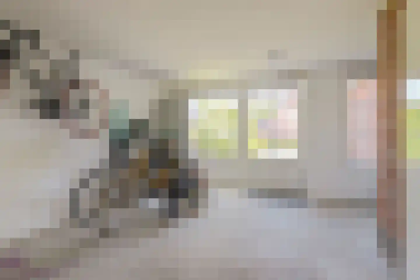 It Heechhout 7 Koudum thumbnail 17