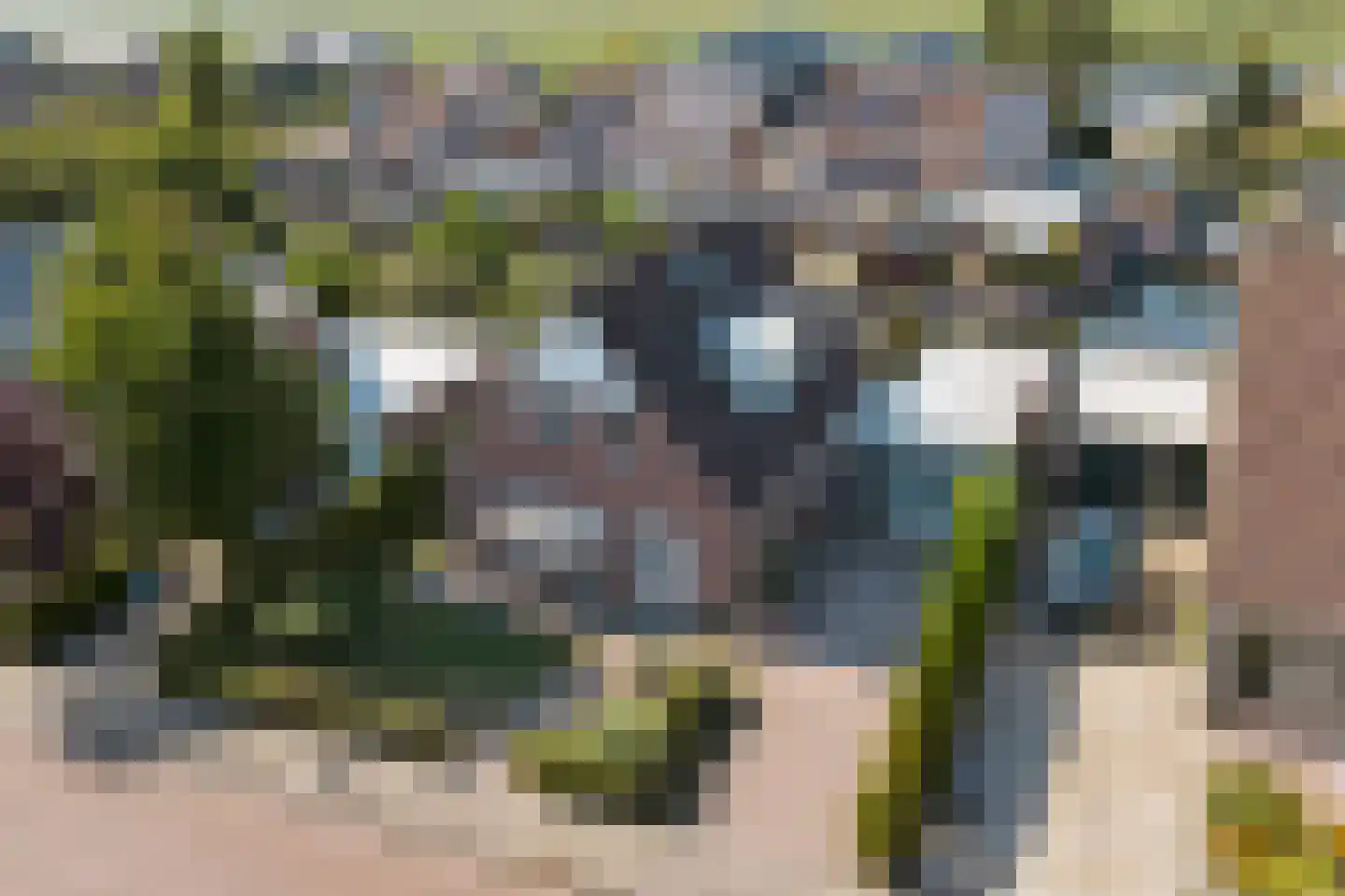 It Heechhout 7 Koudum foto 2