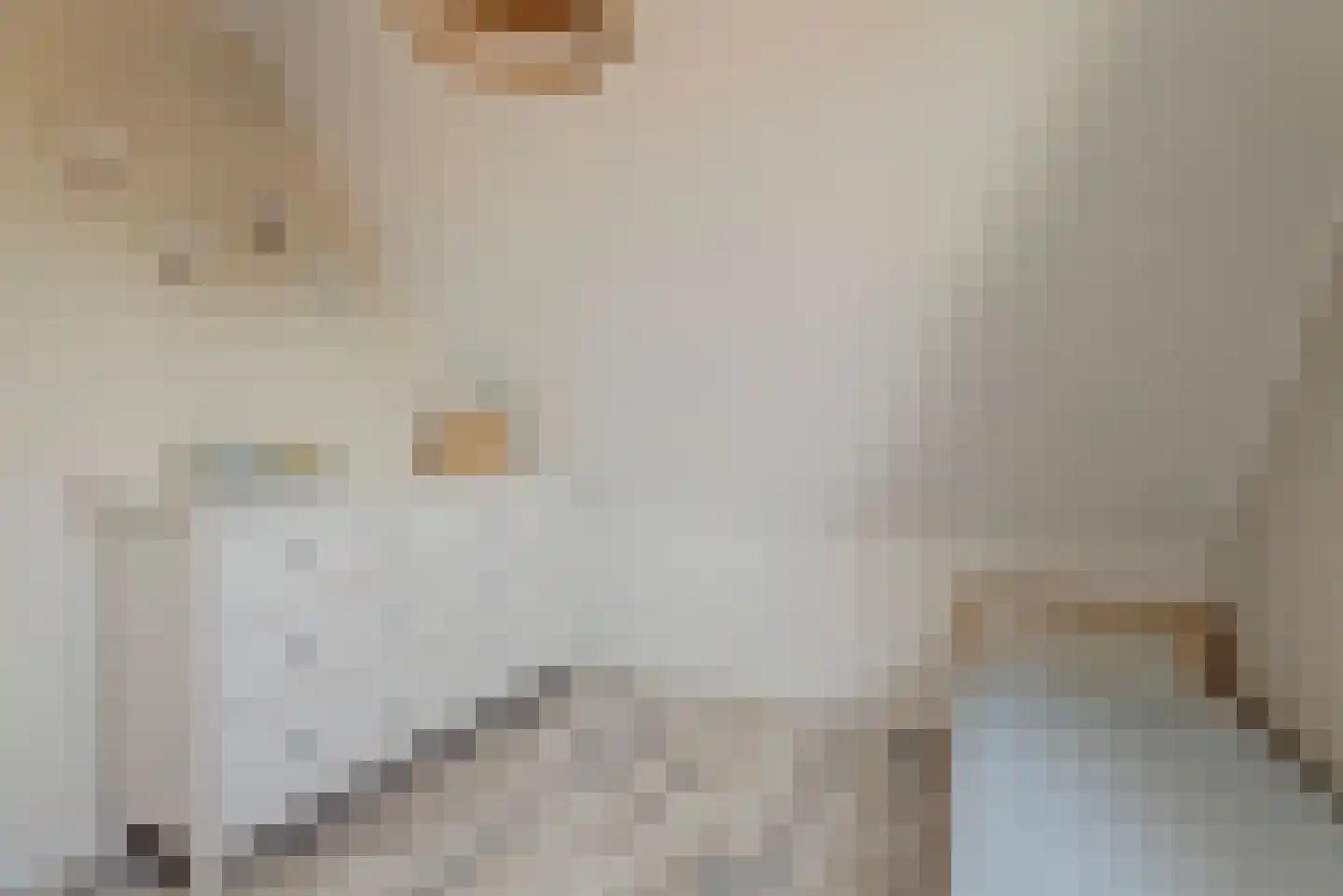 It Heechhout 7 Koudum thumbnail 23
