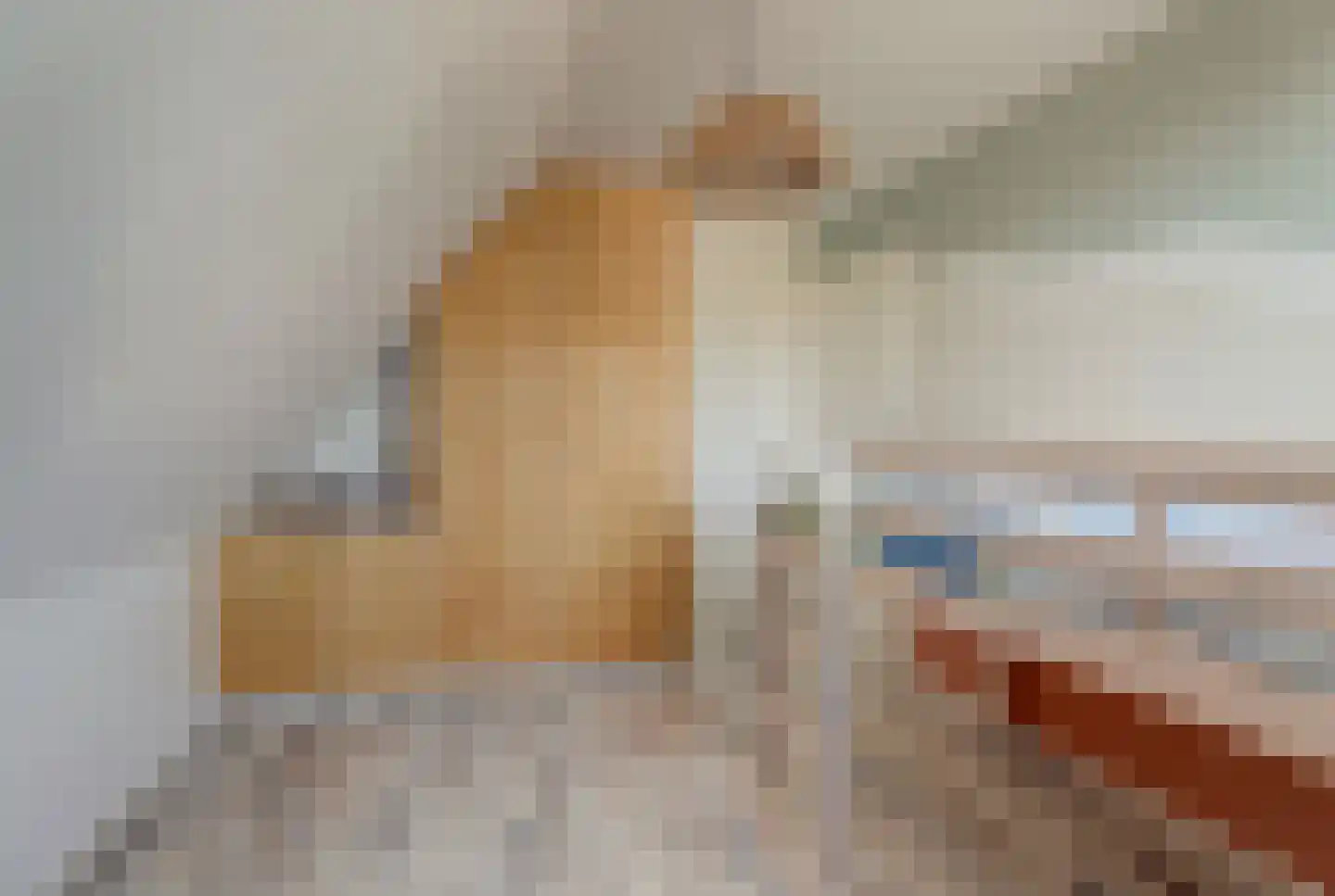 It Heechhout 7 Koudum thumbnail 25