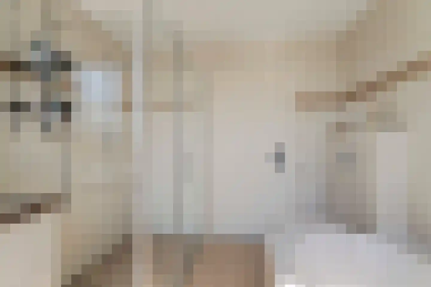 It Heechhout 7 Koudum thumbnail 27