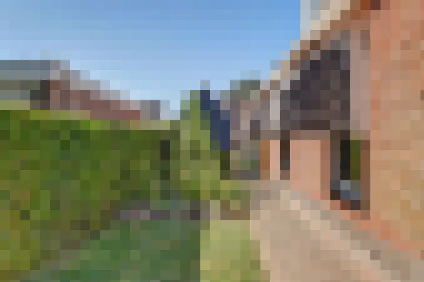 It Heechhout 7 Koudum thumbnail 33