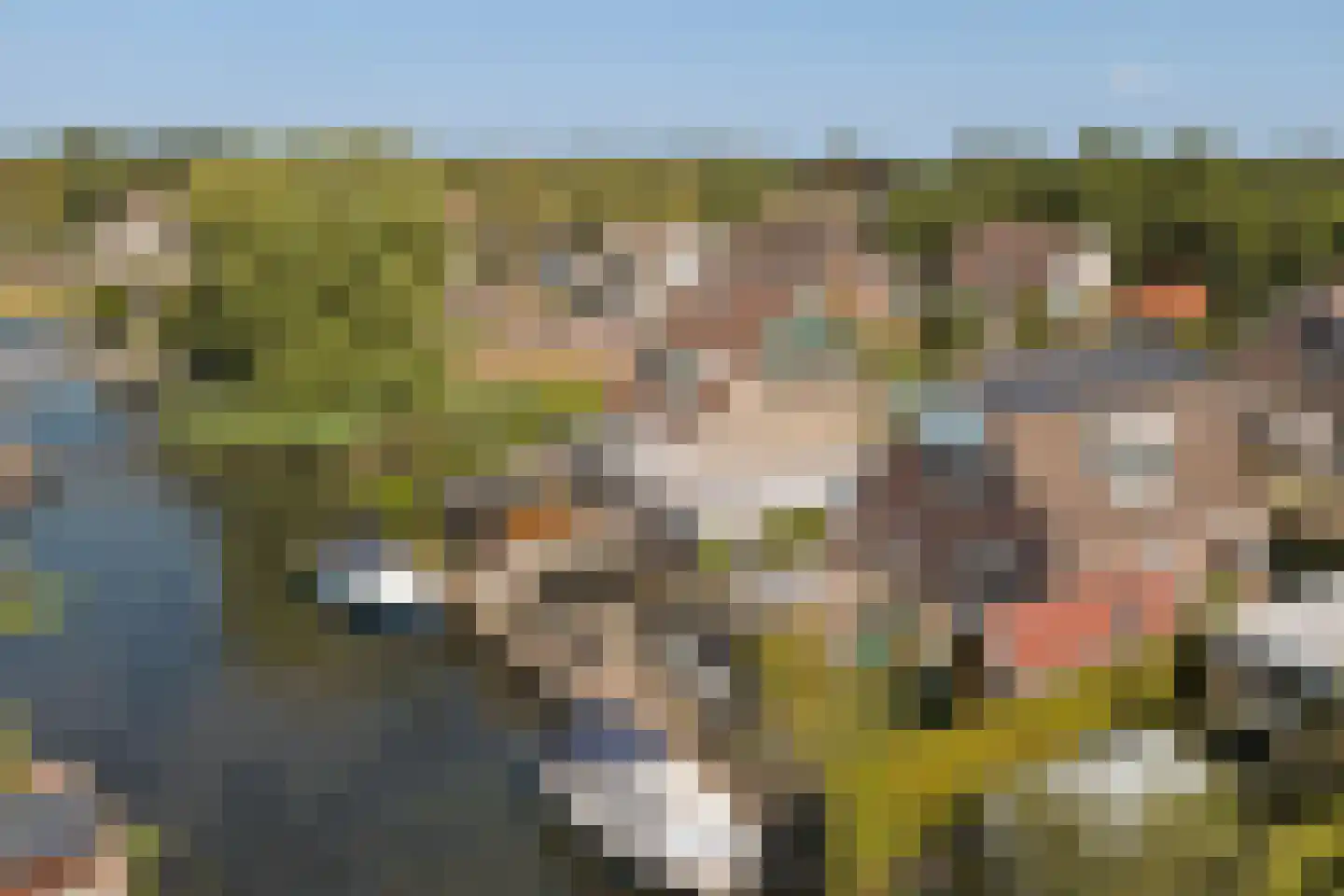 It Heechhout 7 Koudum thumbnail 36