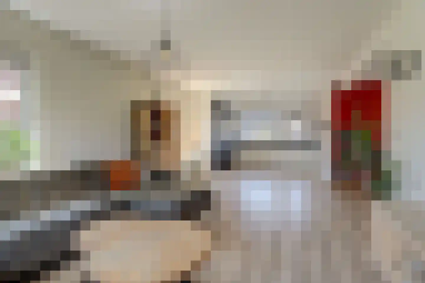 It Heechhout 7 Koudum thumbnail 4