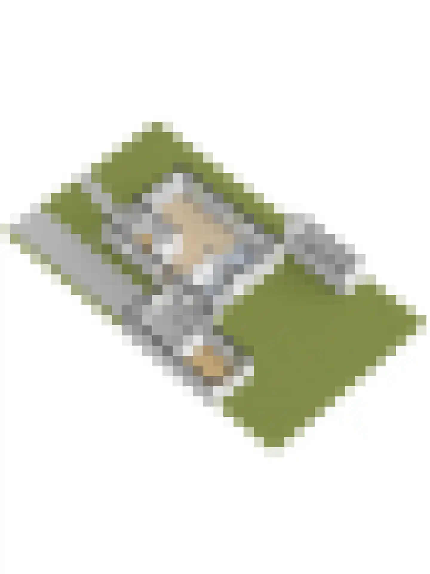It Heechhout 7 Koudum thumbnail 52