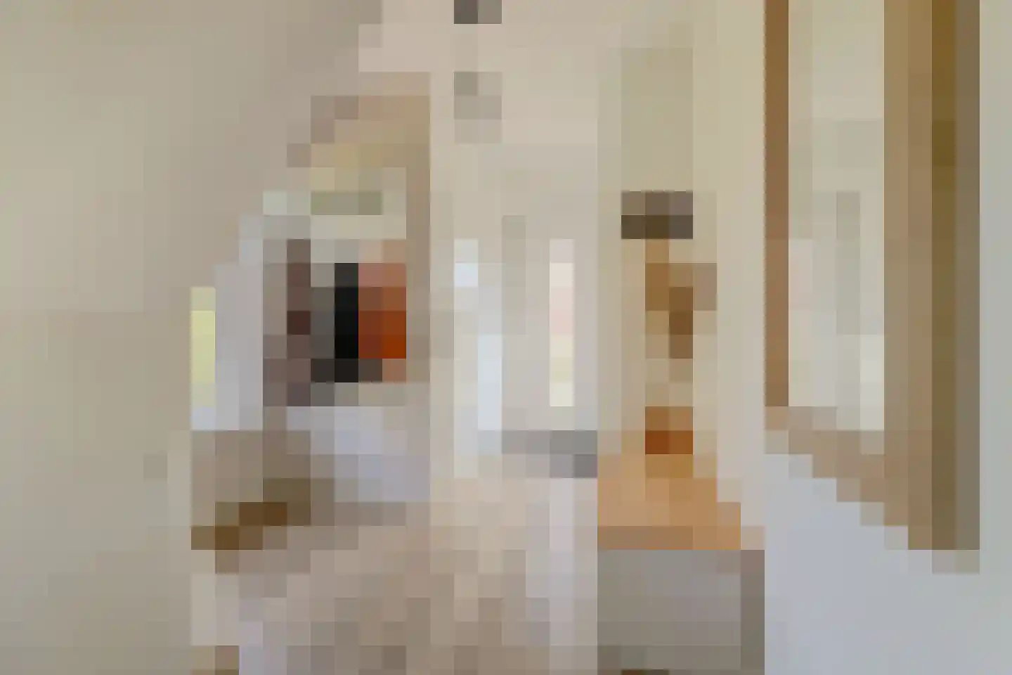 It Heechhout 7 Koudum thumbnail 6