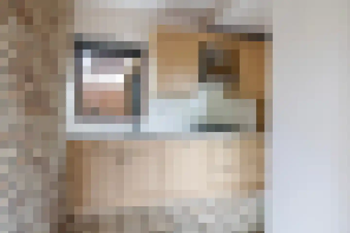 It Heechhout 9 Koudum thumbnail 10