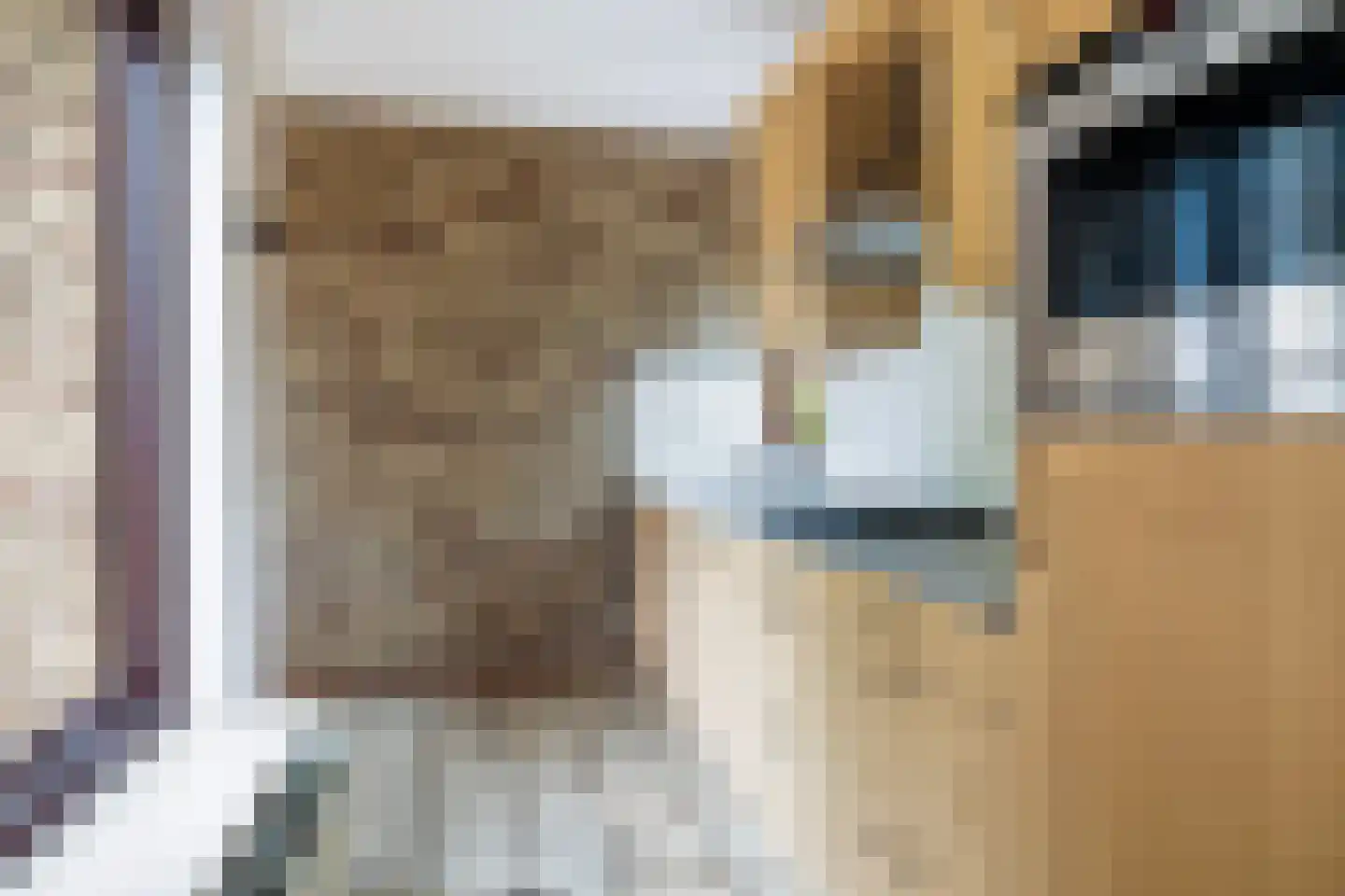 It Heechhout 9 Koudum thumbnail 12
