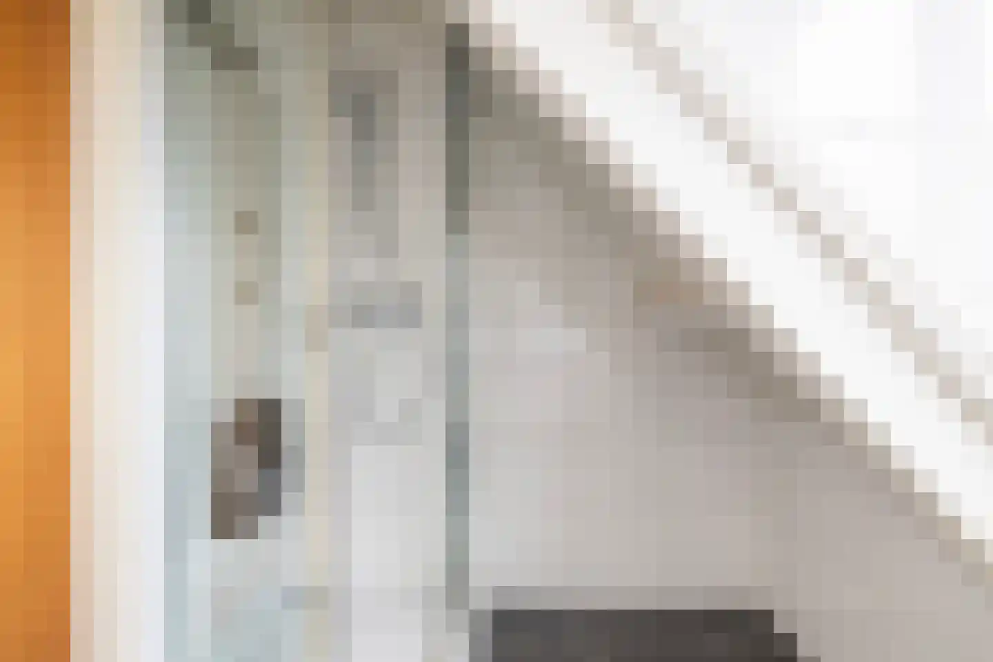 It Heechhout 9 Koudum thumbnail 20