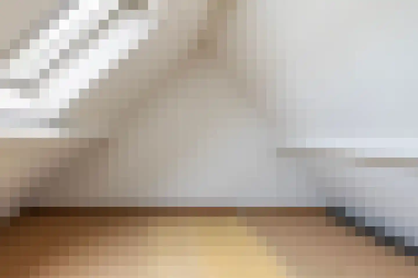 It Heechhout 9 Koudum thumbnail 23