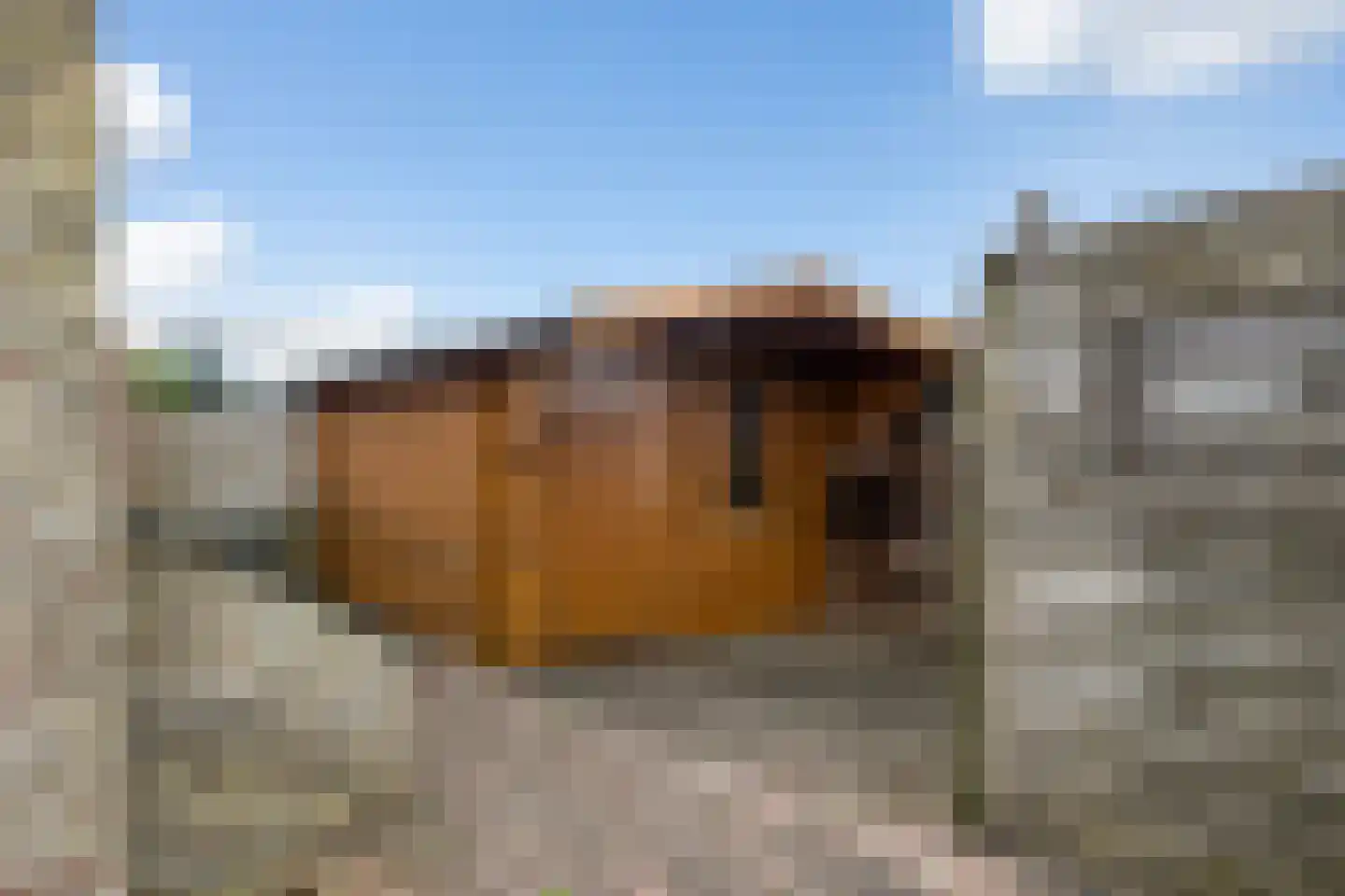 It Heechhout 9 Koudum thumbnail 27