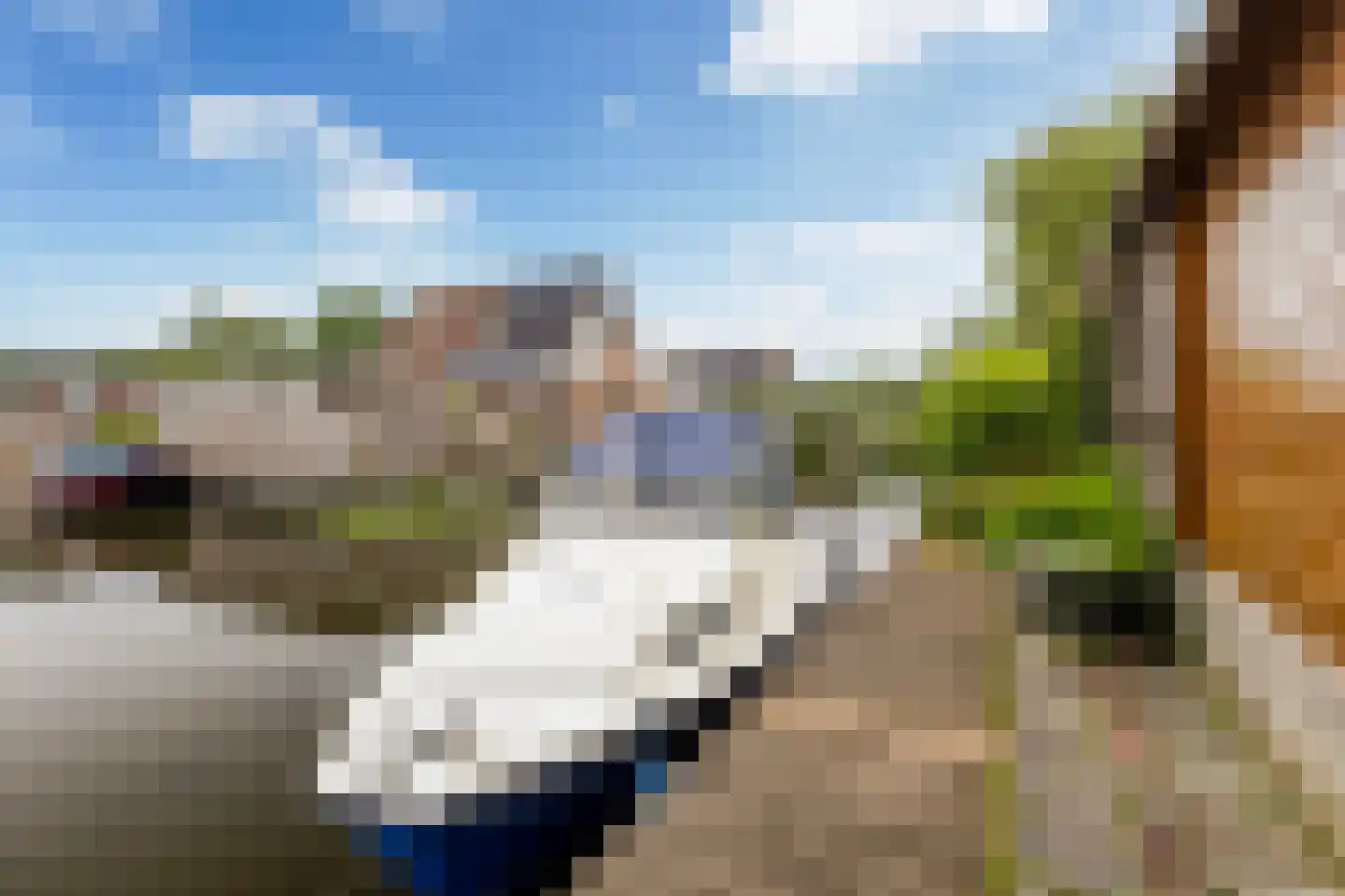 It Heechhout 9 Koudum thumbnail 29
