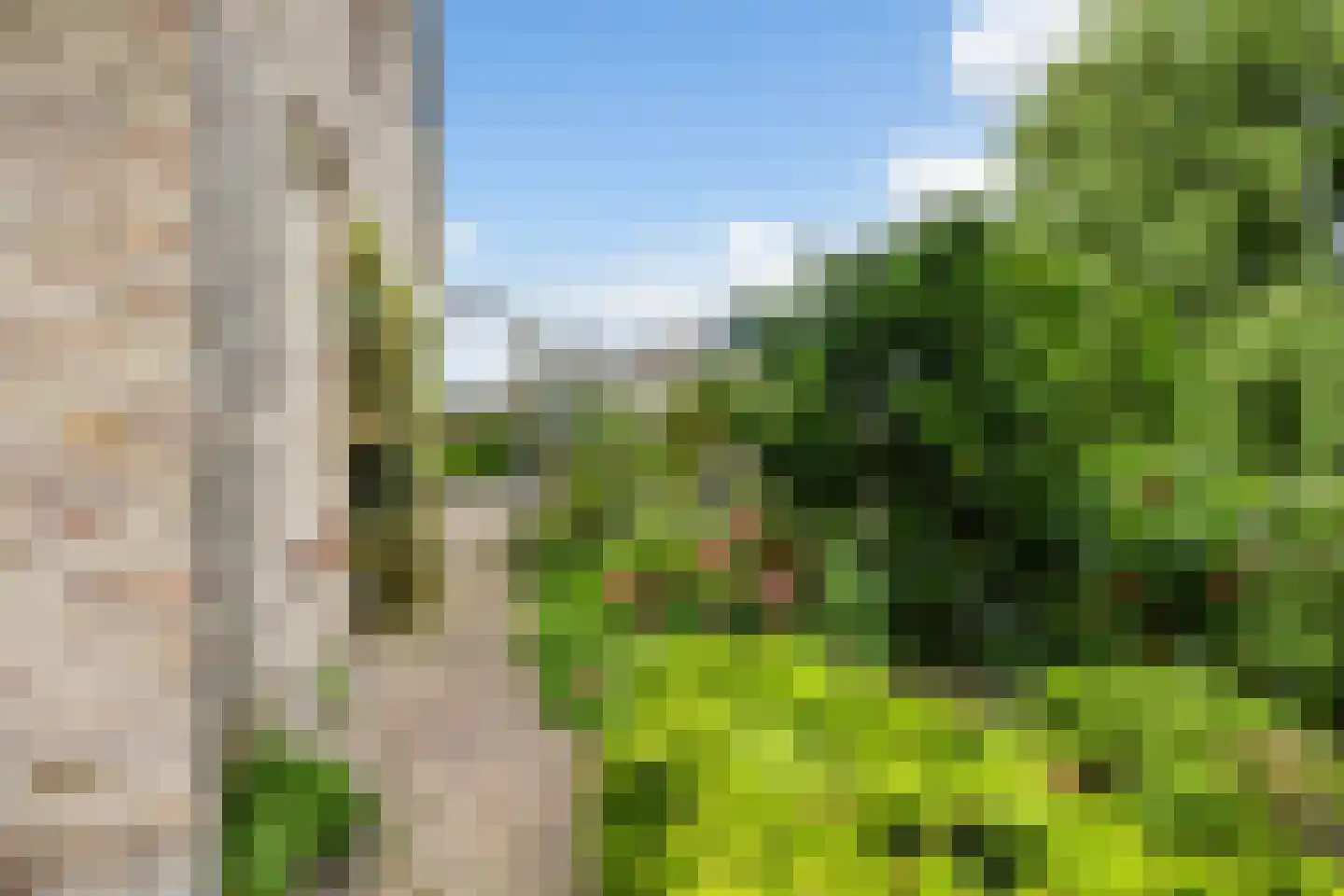 It Heechhout 9 Koudum thumbnail 30