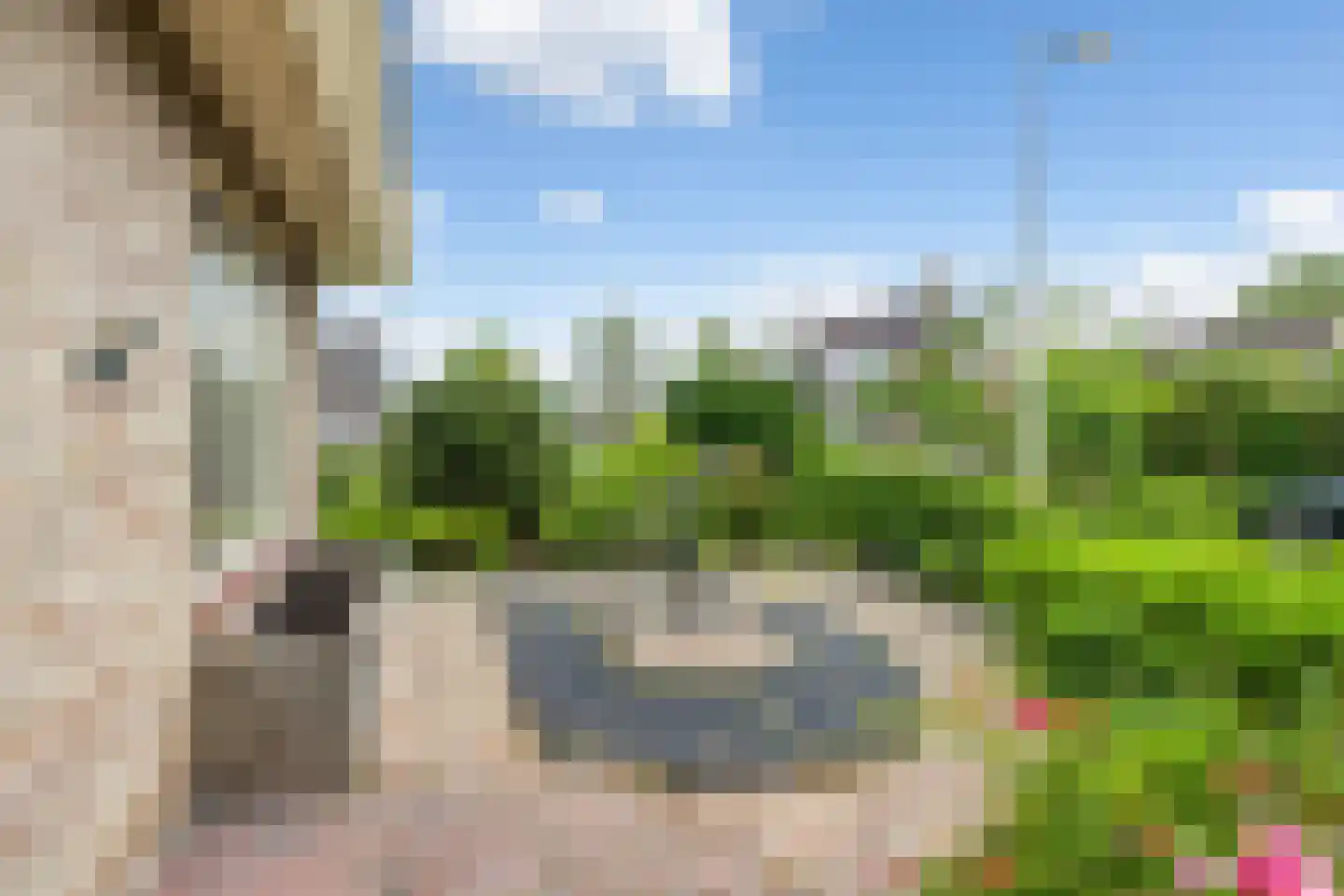 It Heechhout 9 Koudum thumbnail 31