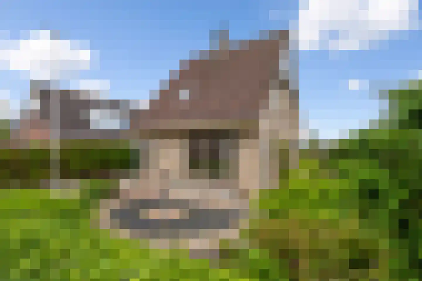 It Heechhout 9 Koudum thumbnail 4