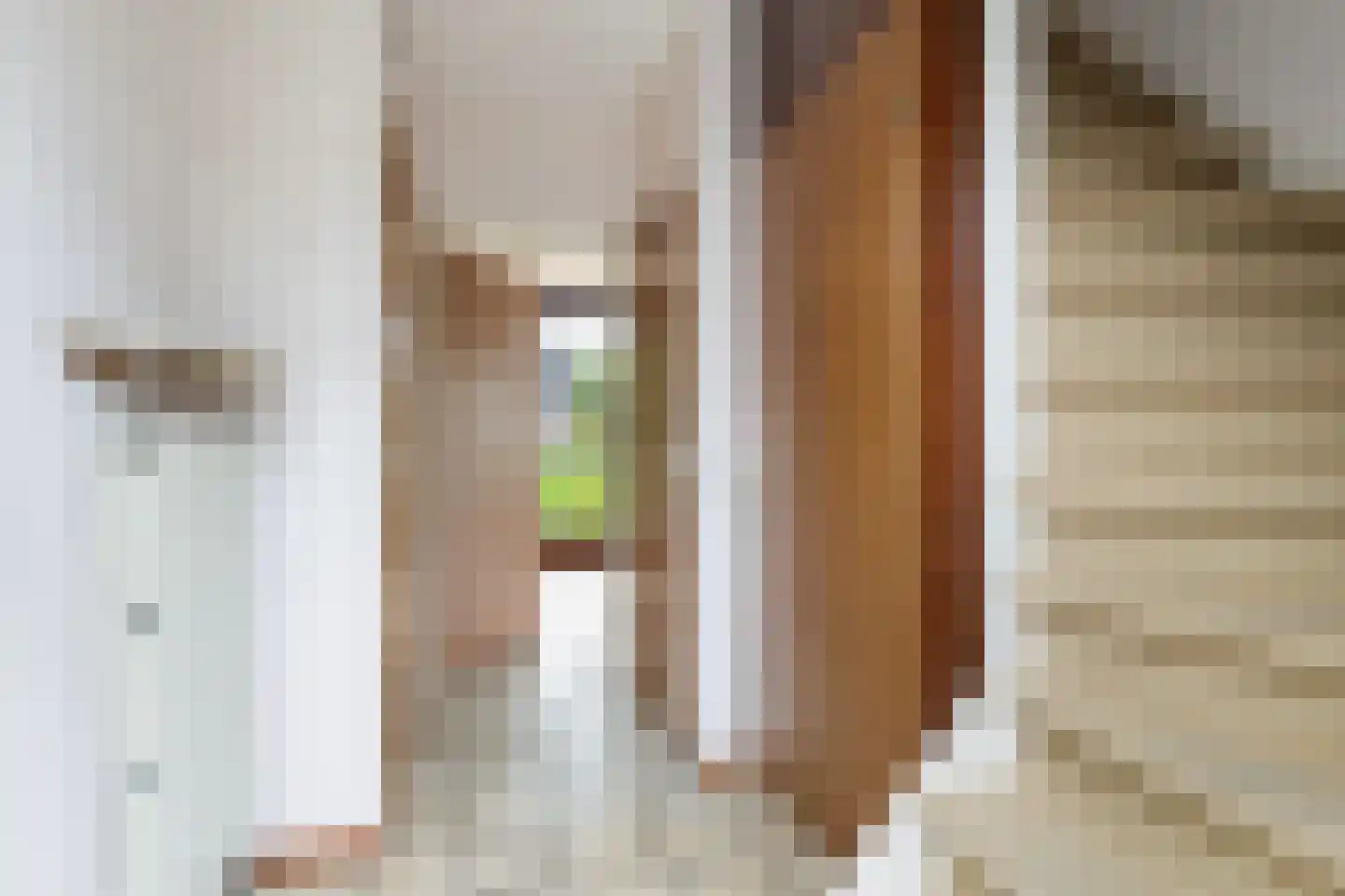 It Heechhout 9 Koudum thumbnail 5