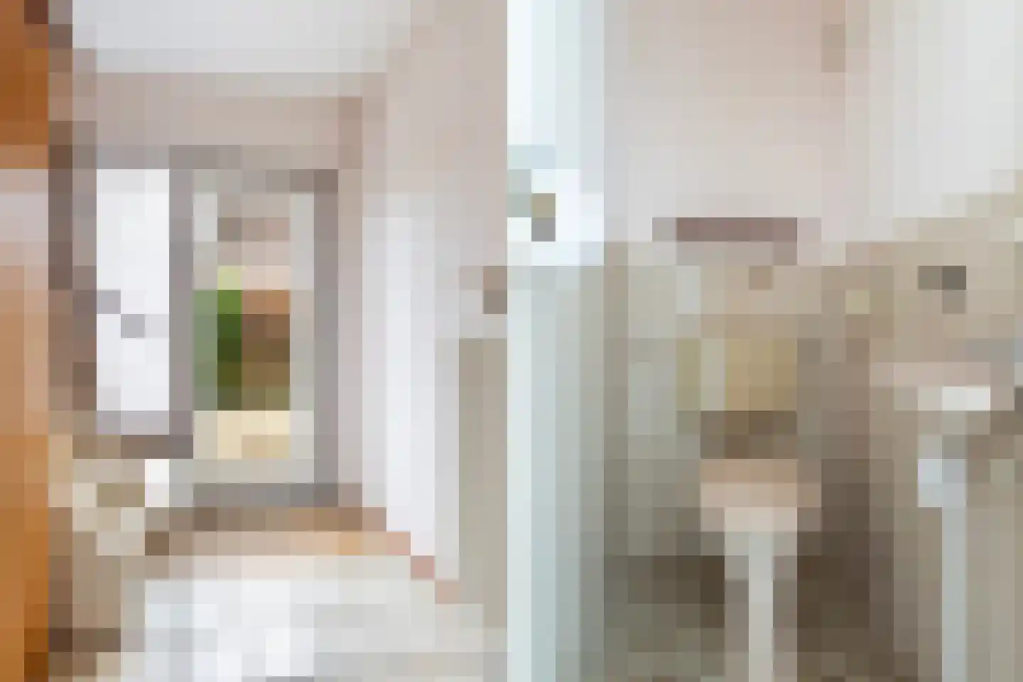 It Heechhout 9 Koudum thumbnail 6