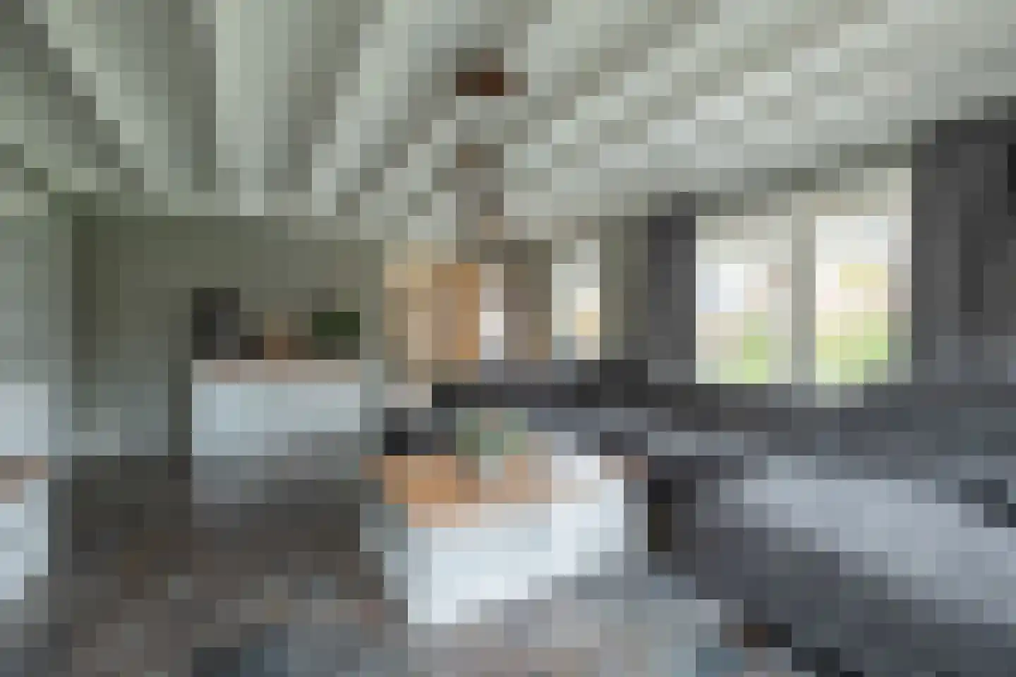 It Heechsân 3 Eastermar thumbnail 12