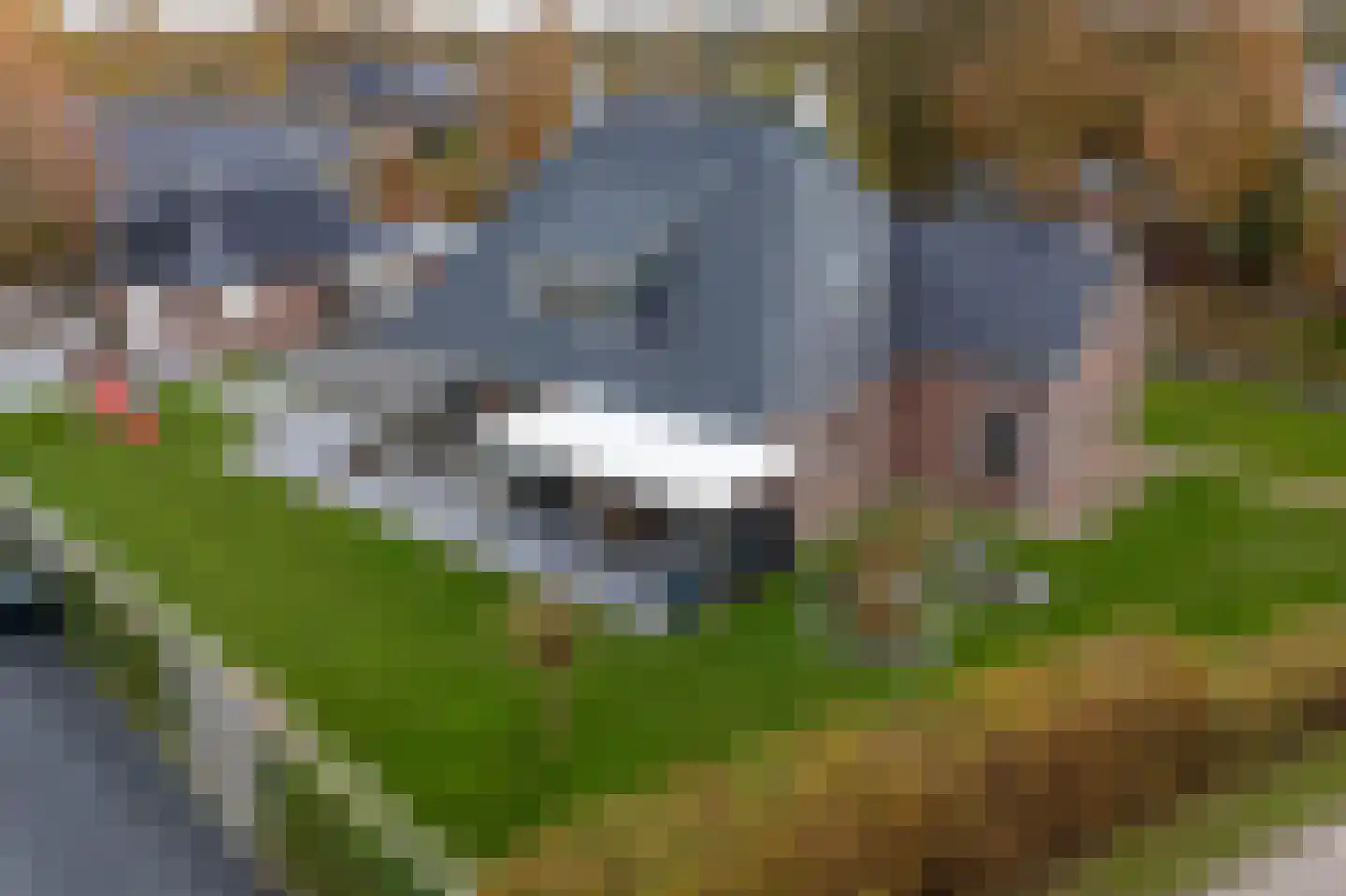 It Heechsân 3 Eastermar foto 2