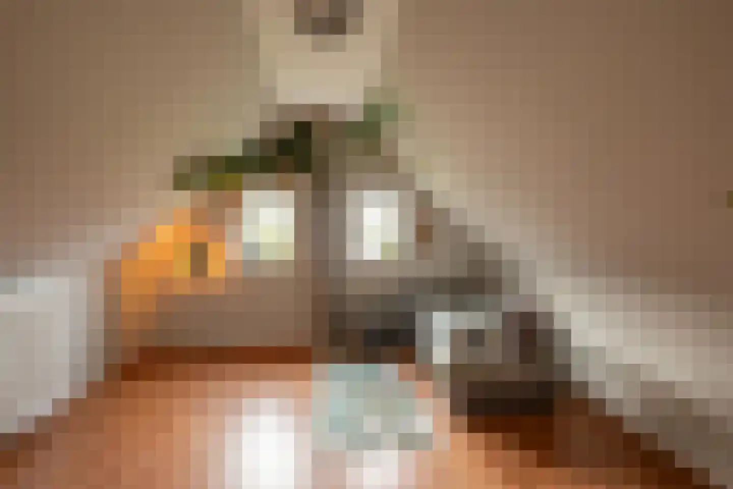 It Heechsân 3 Eastermar thumbnail 27