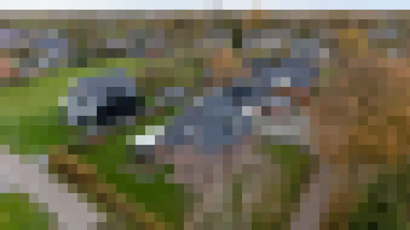 It Heechsân 3 Eastermar thumbnail 50