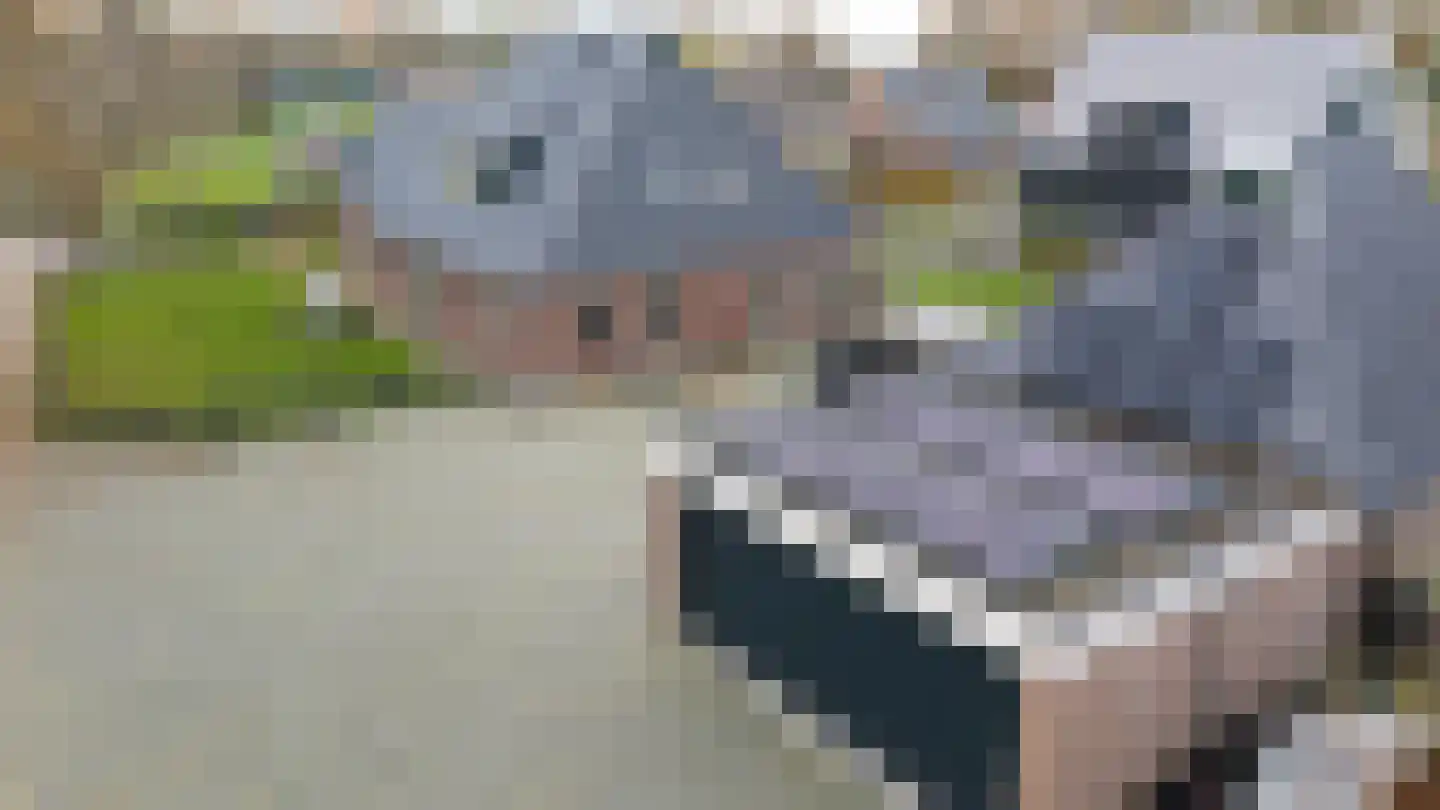 It Heechsân 3 Eastermar thumbnail 6