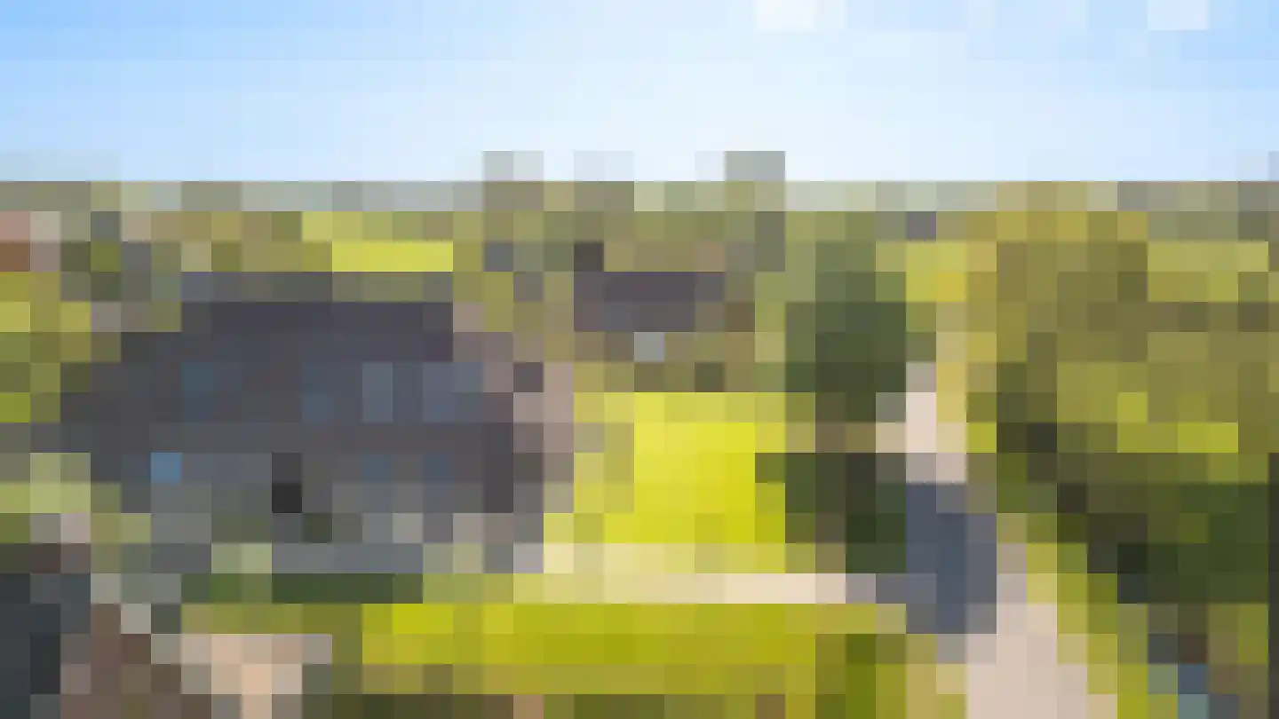 It Heechsân 9 Eastermar thumbnail 10