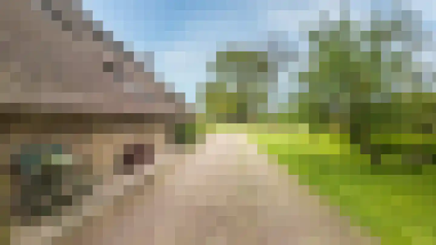 It Heechsân 9 Eastermar thumbnail 12