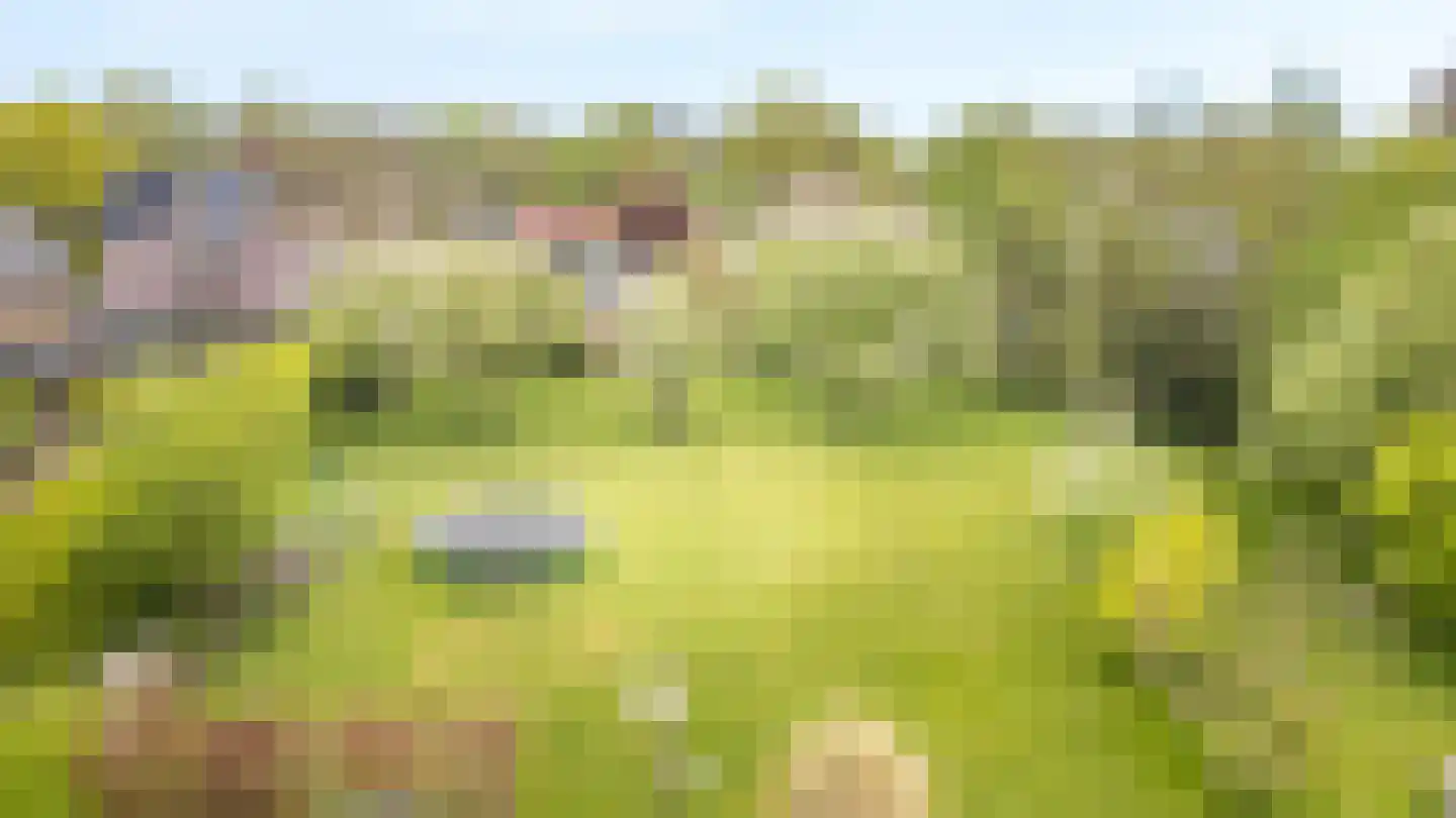 It Heechsân 9 Eastermar thumbnail 14