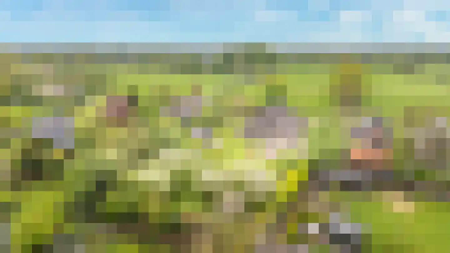 It Heechsân 9 Eastermar thumbnail 16