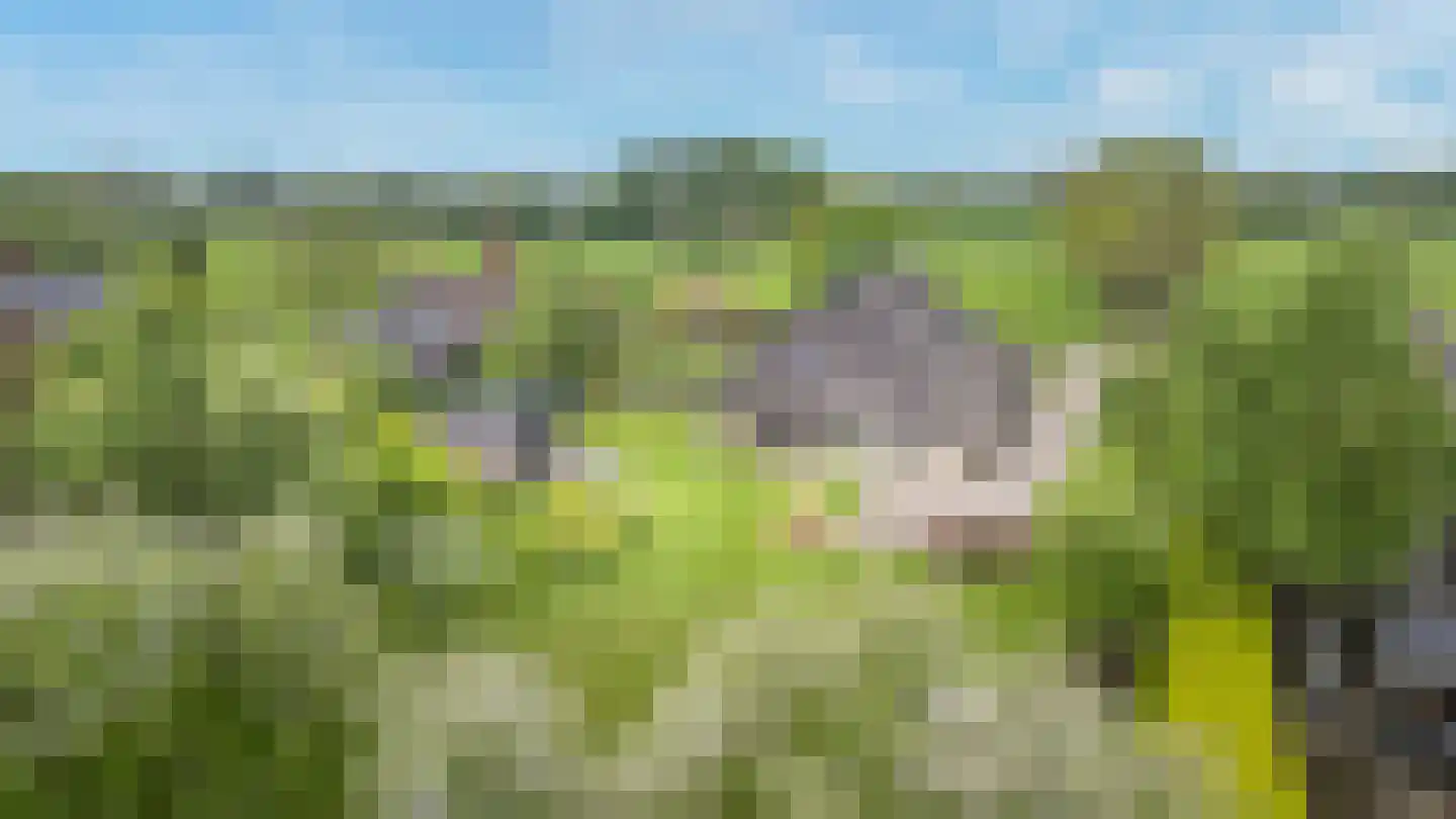 It Heechsân 9 Eastermar thumbnail 17