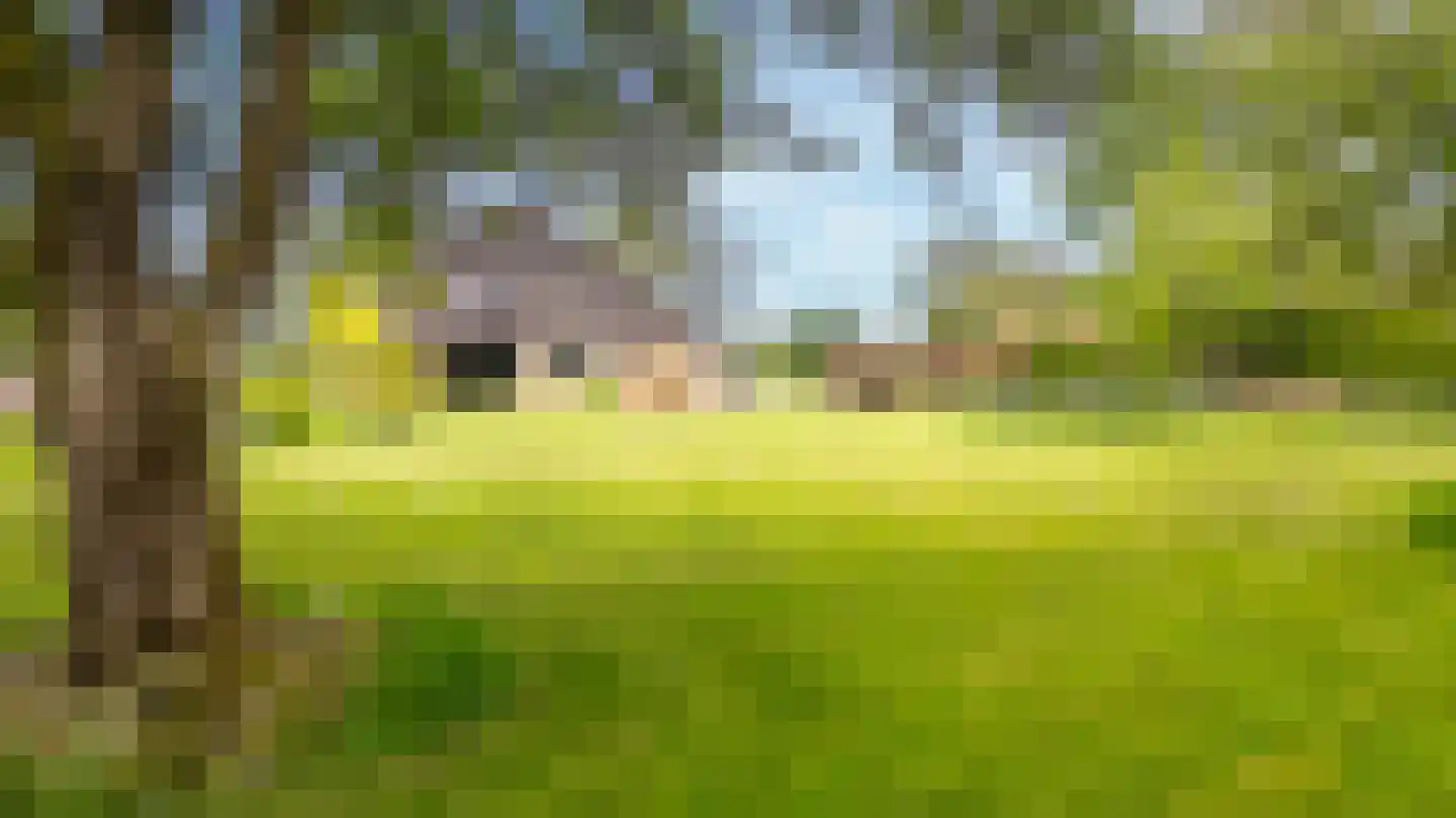 It Heechsân 9 Eastermar thumbnail 18