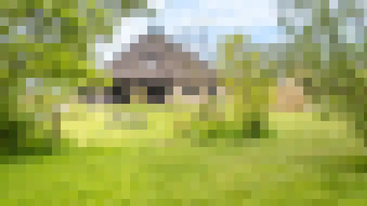 It Heechsân 9 Eastermar thumbnail 19