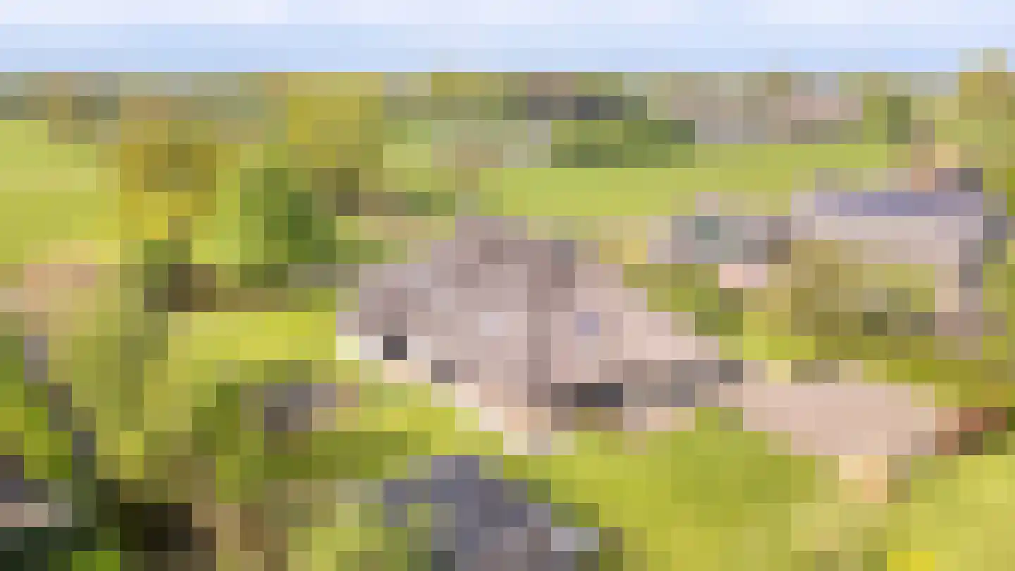 It Heechsân 9 Eastermar thumbnail 20