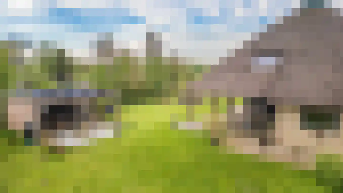 It Heechsân 9 Eastermar thumbnail 21