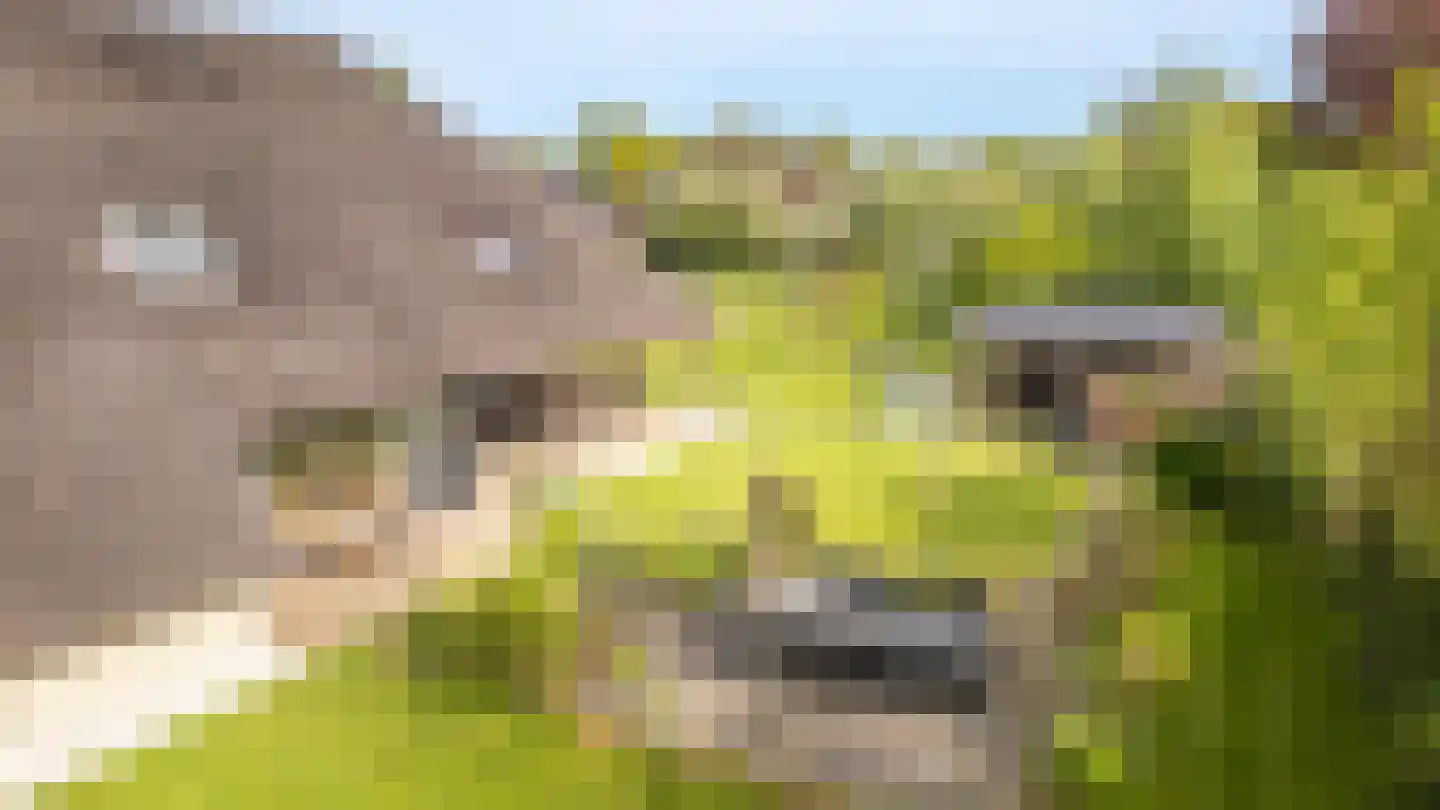 It Heechsân 9 Eastermar thumbnail 22