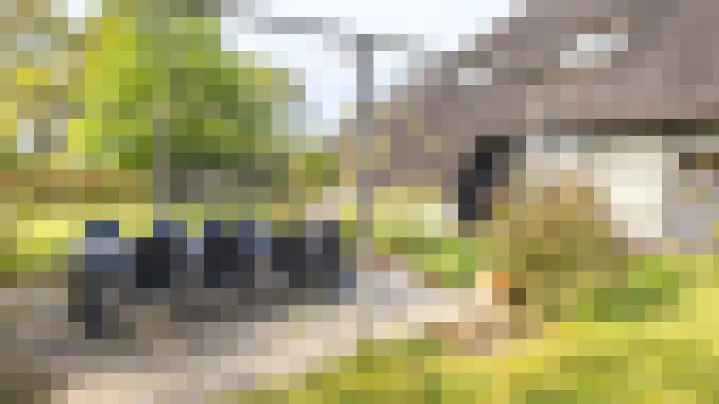 It Heechsân 9 Eastermar thumbnail 24