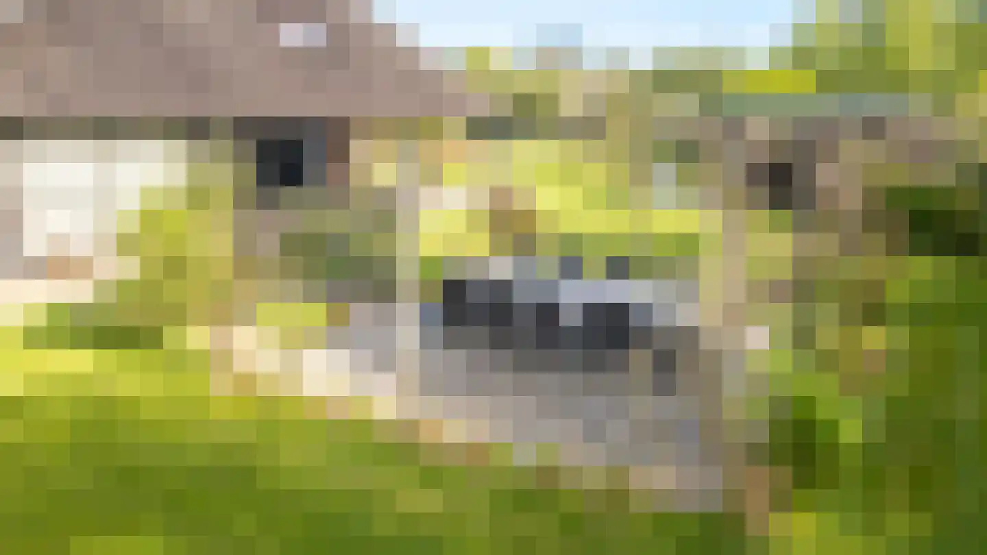 It Heechsân 9 Eastermar thumbnail 25