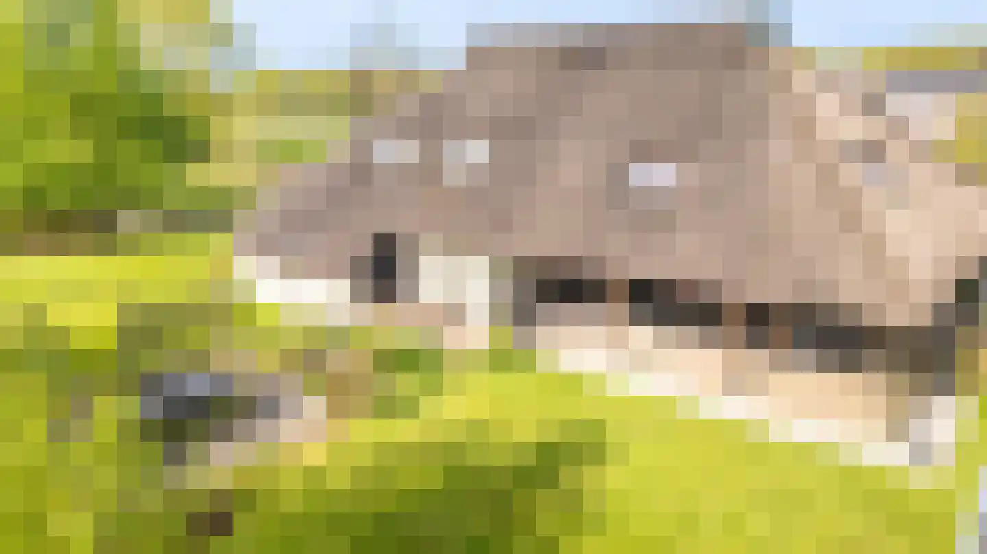 It Heechsân 9 Eastermar thumbnail 27