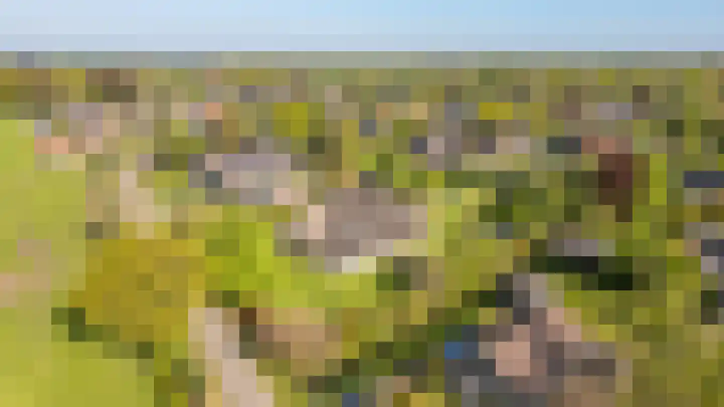 It Heechsân 9 Eastermar thumbnail 31