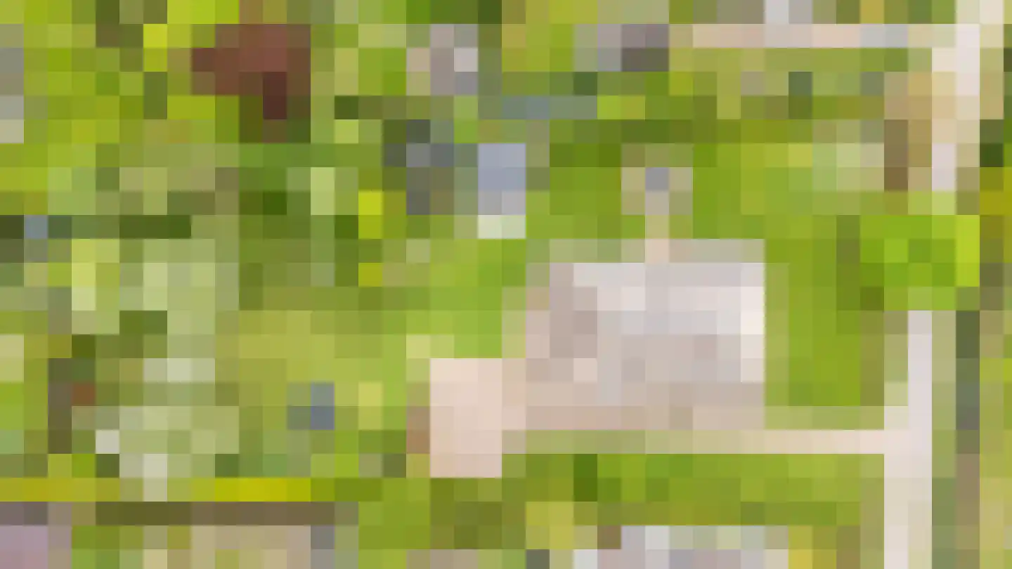 It Heechsân 9 Eastermar thumbnail 32