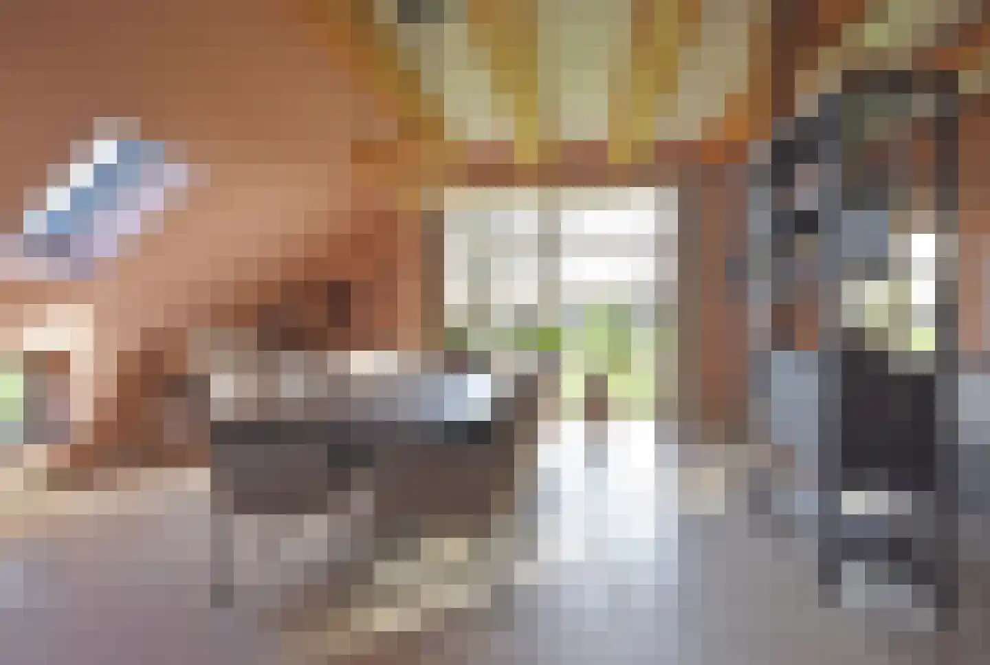 It Heechsân 9 Eastermar thumbnail 45