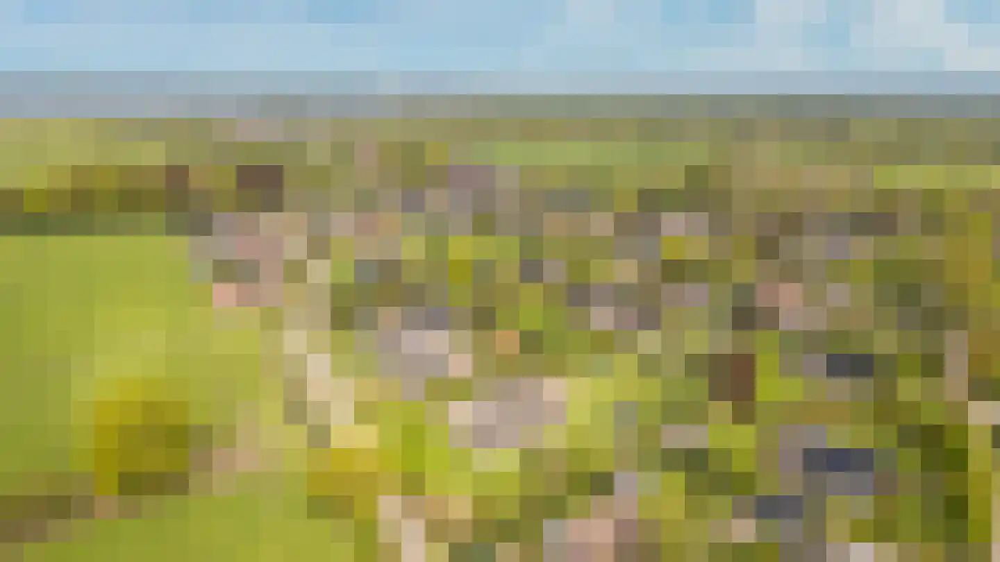 It Heechsân 9 Eastermar thumbnail 5